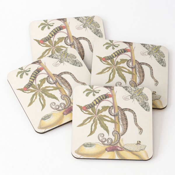 Item preview, Maria Sibylla Merian’s Metamorphosis Insectorum Surinamensium (1705) designed and sold by Vintage Designs +.