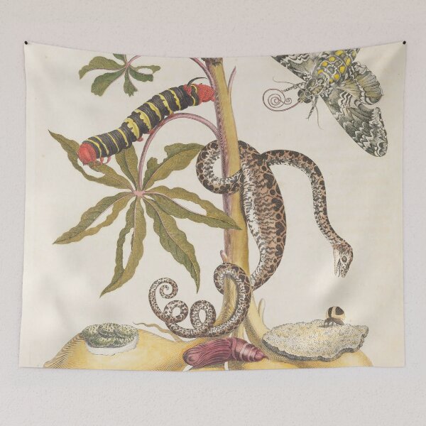 Item preview, Maria Sibylla Merian’s Metamorphosis Insectorum Surinamensium (1705) designed and sold by Vintage Designs +.