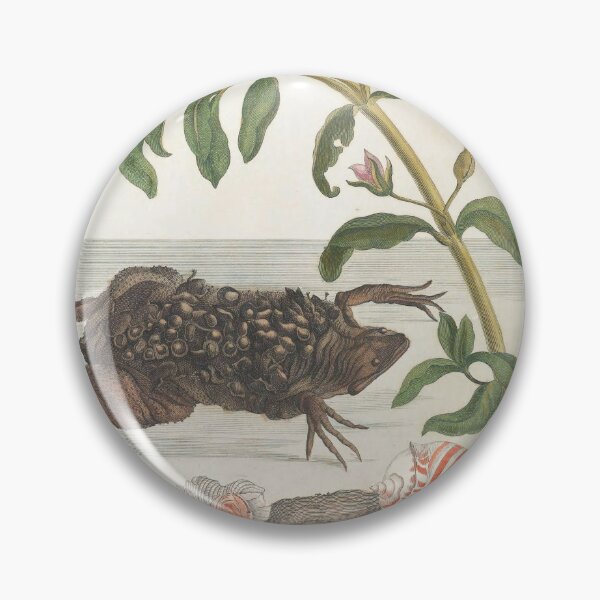 Item preview, Surinam Toad from Maria Sibylla Merian’s Metamorphosis Insectorum Surinamensium (1705) designed and sold by Vintage Designs +.
