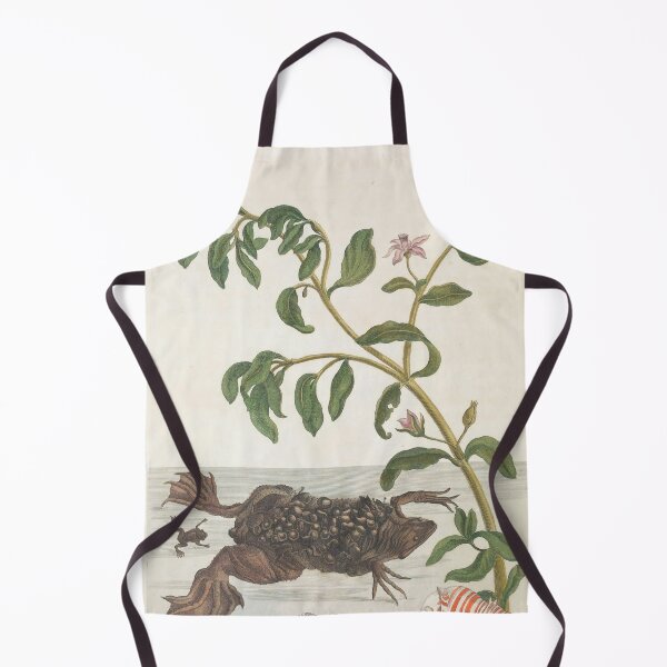 Item preview, Surinam Toad from Maria Sibylla Merian’s Metamorphosis Insectorum Surinamensium (1705) designed and sold by Vintage Designs +.