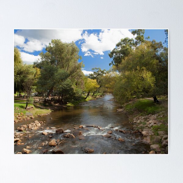 Item preview, River view in Bright designed and sold by archieswell.