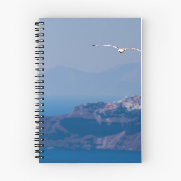 Item preview, A Santorini Seagull designed and sold by archieswell.
