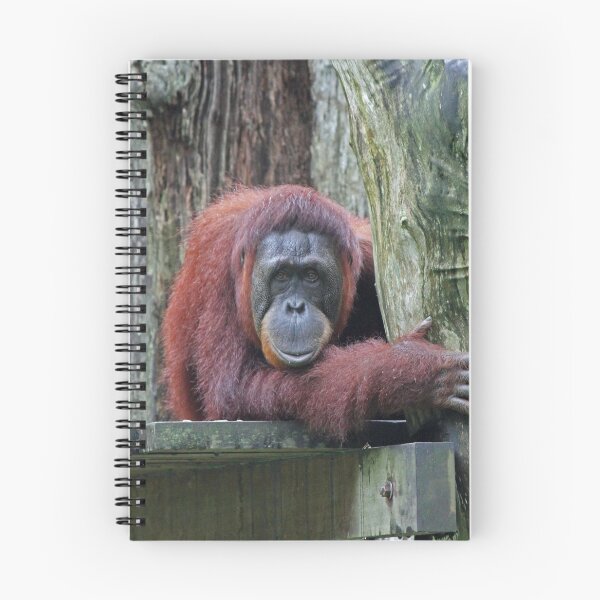 Item preview, Bornean Orangutan designed and sold by LeanneAllen.