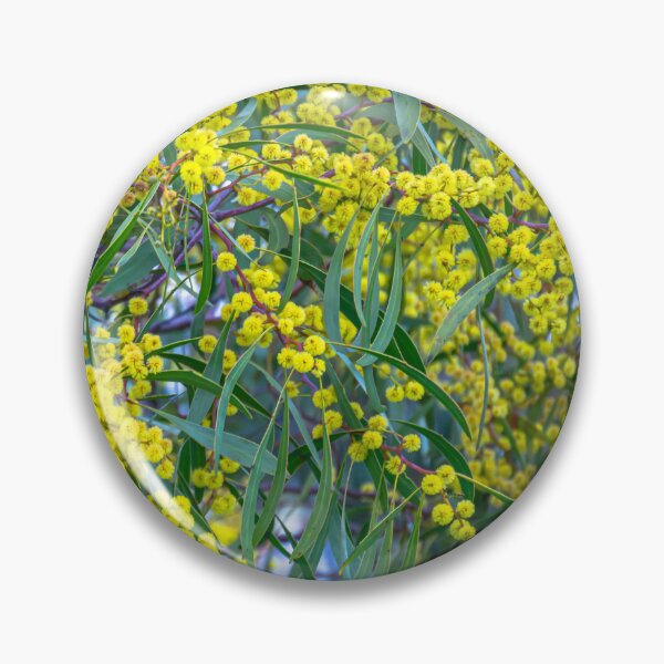 Item preview, Golden Wattle and Gum Leaves designed and sold by Steven Jodoin.