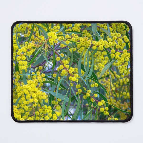 Item preview, Golden Wattle and Gum Leaves designed and sold by Steven Jodoin.