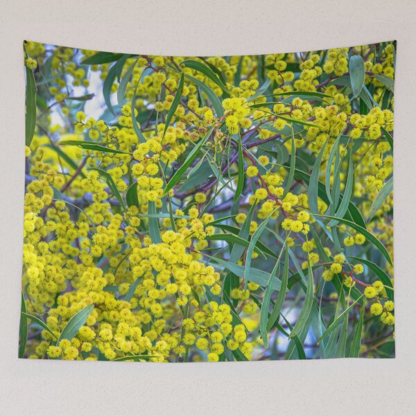 Item preview, Golden Wattle and Gum Leaves designed and sold by Steven Jodoin.
