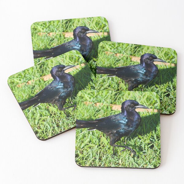 Item preview, Grackle Strut  designed and sold by MercerImages.