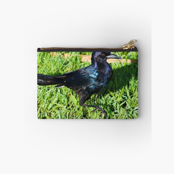 Item preview, Grackle Strut  designed and sold by MercerImages.
