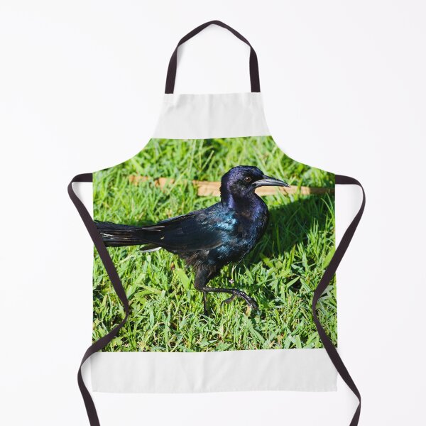 Item preview, Grackle Strut  designed and sold by MercerImages.