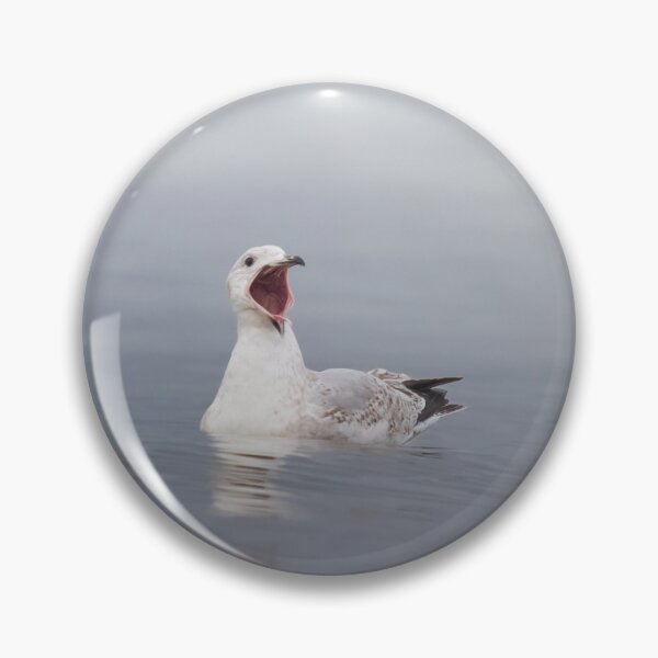 Item preview, Sea gull in the sea yawning designed and sold by Angus1029.