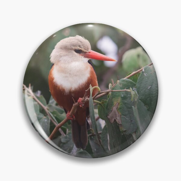 Item preview, King fisher sitting on a stick designed and sold by Angus1029.