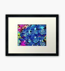 colours Framed Print