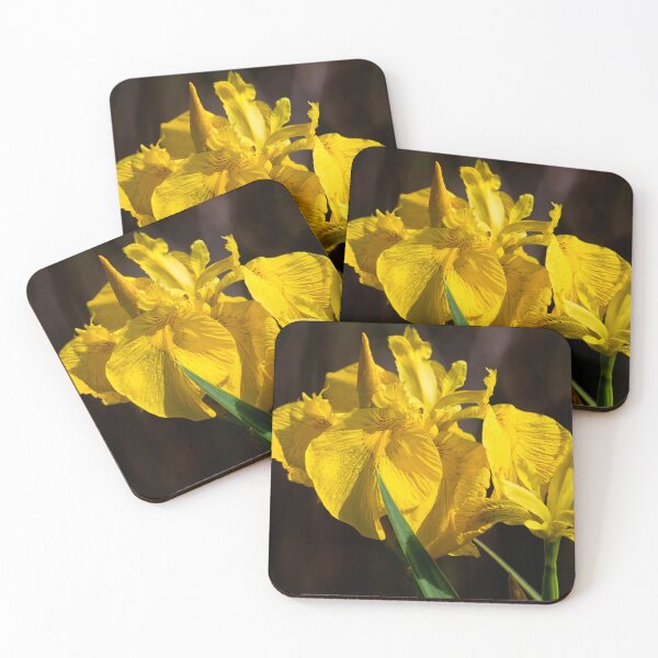 Item preview, Yellow Iris in Queen Elizabeth II Country Park Ashington designed and sold by Violaman.