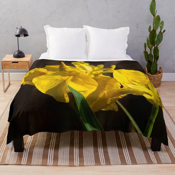 Item preview, Yellow Iris in Queen Elizabeth II Country Park Ashington designed and sold by Violaman.