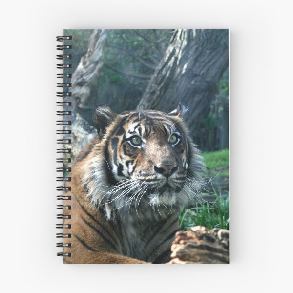 Item preview, Laying In Wait designed and sold by LeanneAllen.