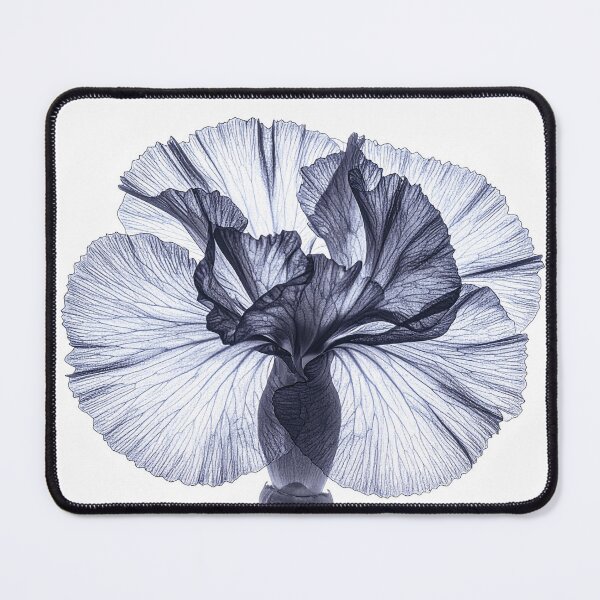 Item preview, Carnation flowers blossom x-ray style contrast designed and sold by LiskoDesign.