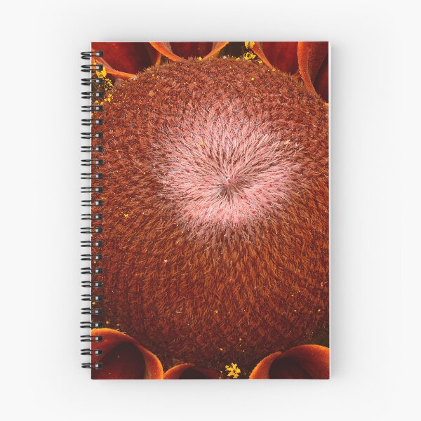 Item preview, Macro of Dark Orange Flower Center designed and sold by Goiko7Margarita.