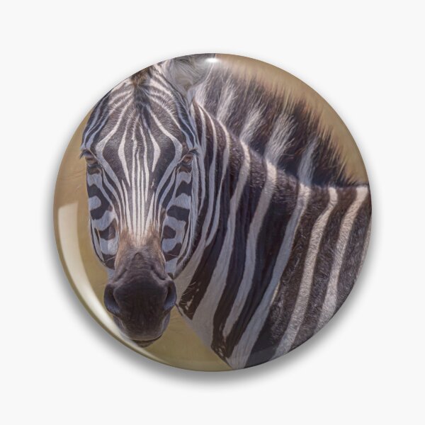 Item preview, Zebra Portrait Artistic Masai Mara Kenya designed and sold by PhotoArt by Joan Carroll.