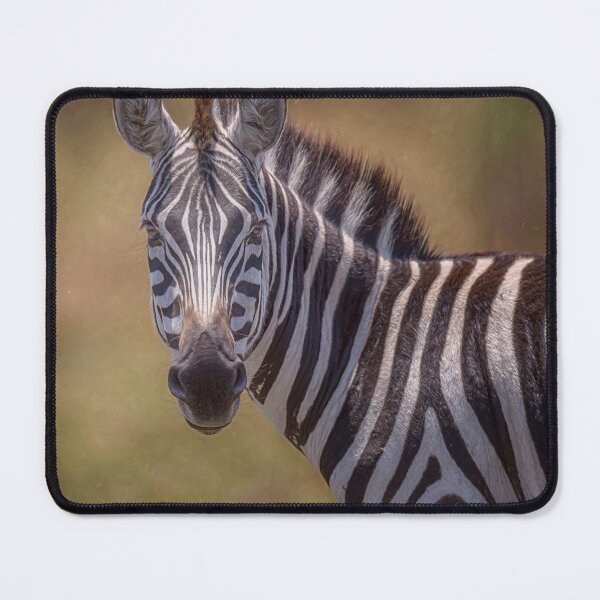 Item preview, Zebra Portrait Artistic Masai Mara Kenya designed and sold by PhotoArt by Joan Carroll.