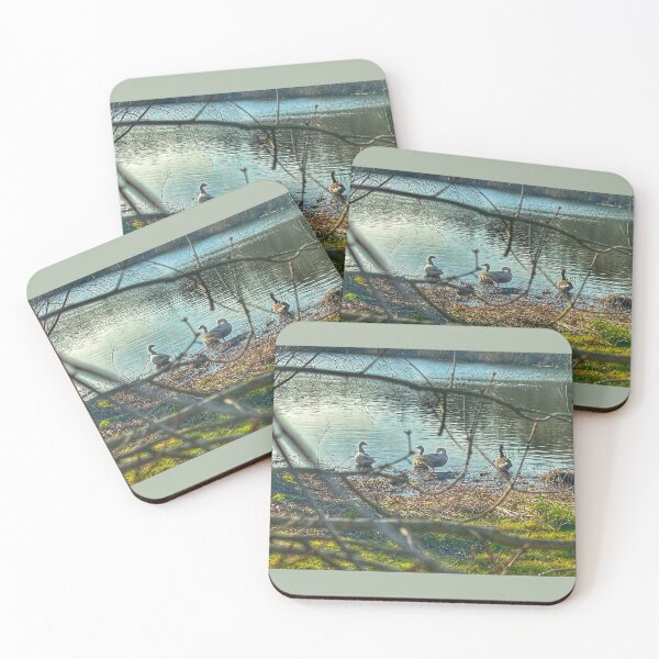 Item preview, Geese by Lake at Dinton Pastures, Hurst, UK - 2025 designed and sold by Photography by Sarah.