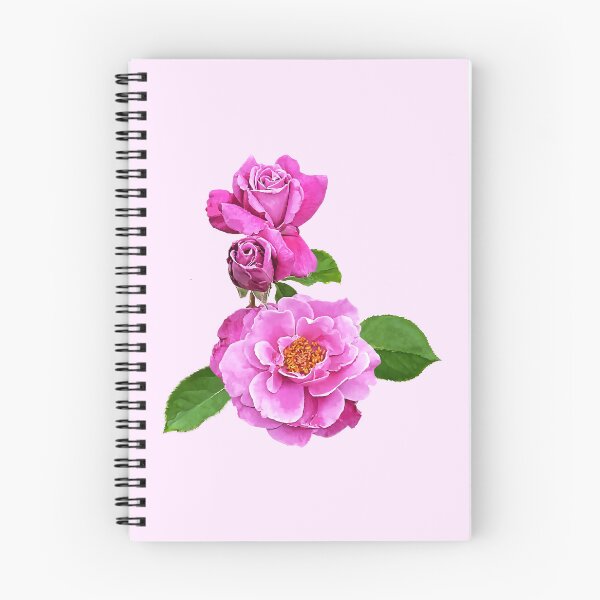 Item preview, The Floribunda Rose Family designed and sold by Susan Savad.