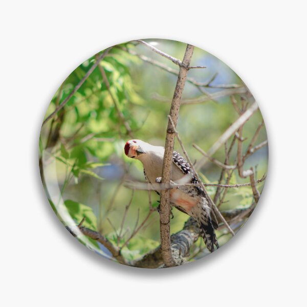 Item preview, Birds Eye View  designed and sold by KreativeKas.