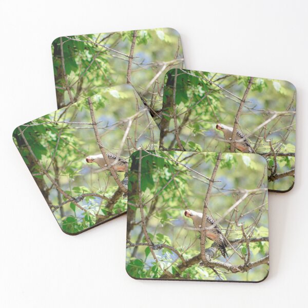 Item preview, Birds Eye View  designed and sold by KreativeKas.