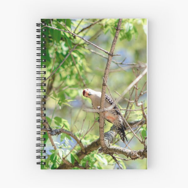 Item preview, Birds Eye View  designed and sold by KreativeKas.