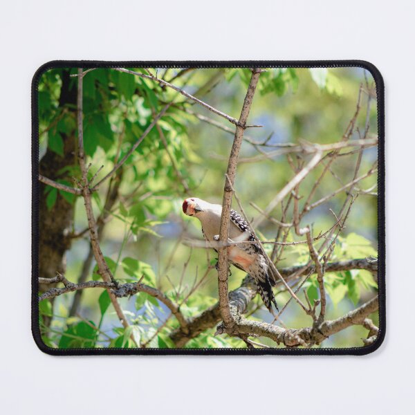 Item preview, Birds Eye View designed and sold by KreativeKas.