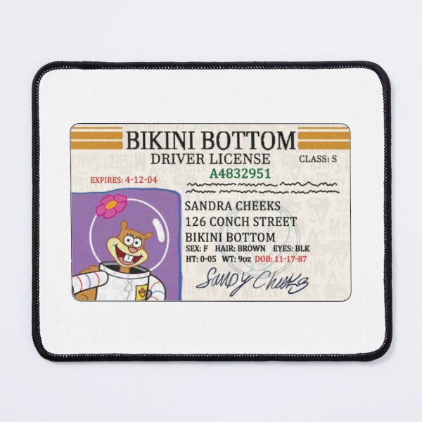 Item preview, Sandy Cheeks Bikini Bottom Driver License designed and sold by thundergearshop.