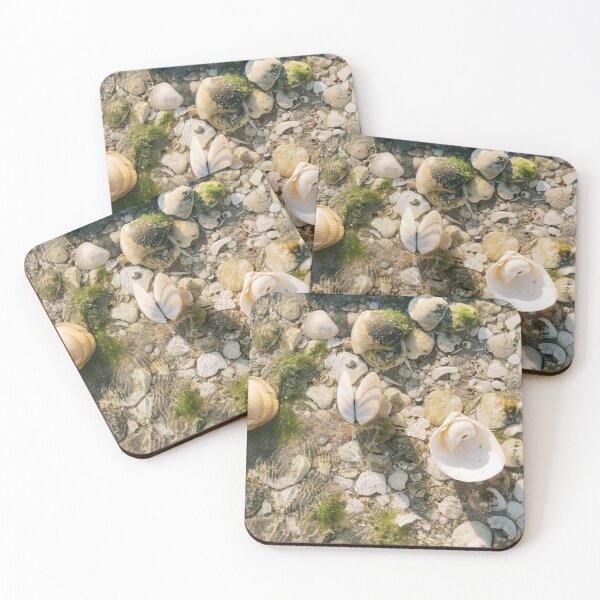 Item preview, sea shells designed and sold by Silvana  Braggio Photography.