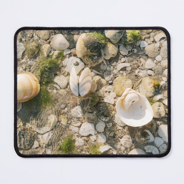 Item preview, sea shells designed and sold by Silvana Braggio Photography.