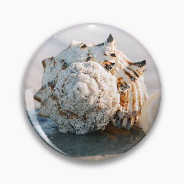 Item preview, Seashell designed and sold by Silvana  Braggio Photography.