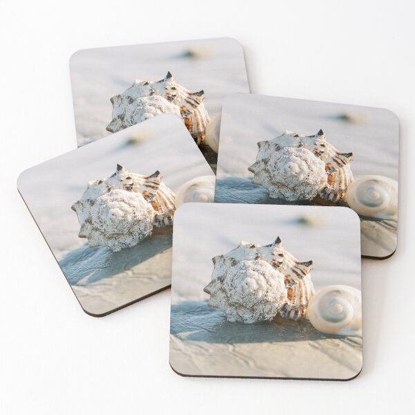 Item preview, Seashell designed and sold by Silvana  Braggio Photography.