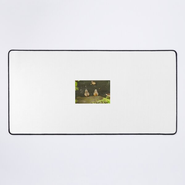 Item preview, Ducks, Sefton park | Liverpool designed and sold by Mitchellprint.