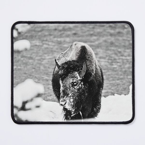 Item preview, Buffalo Wall Art Winter Wonderland designed and sold by Not A Typical Teacher.