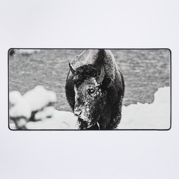 Item preview, Buffalo Wall Art Winter Wonderland designed and sold by Not A Typical Teacher.