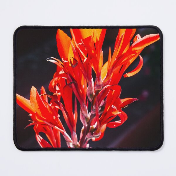 Item preview, Canna Lily designed and sold by PhotosByArt.