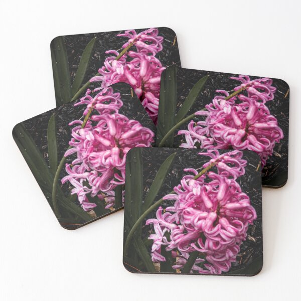 Item preview, Jan Bos Hyacinth designed and sold by PhotosByArt.