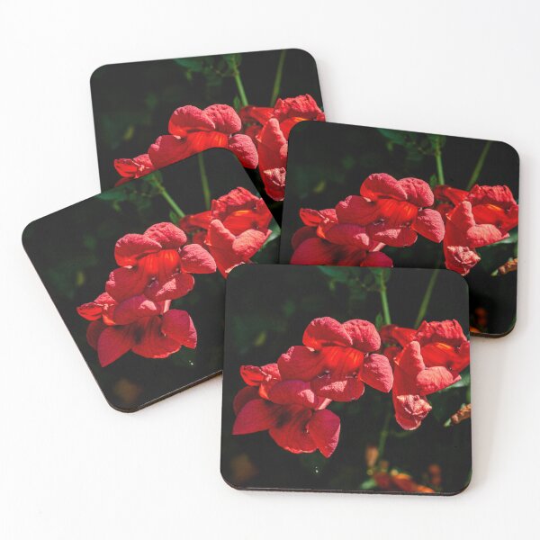 Item preview, Trumpet Vine designed and sold by PhotosByArt.