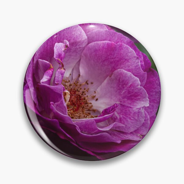 Item preview, Wild Blue Yonder Rose designed and sold by PhotosByArt.