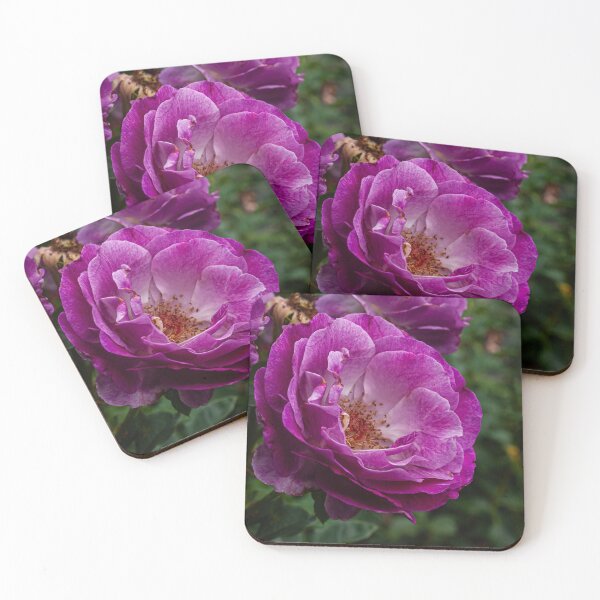Item preview, Wild Blue Yonder Rose designed and sold by PhotosByArt.