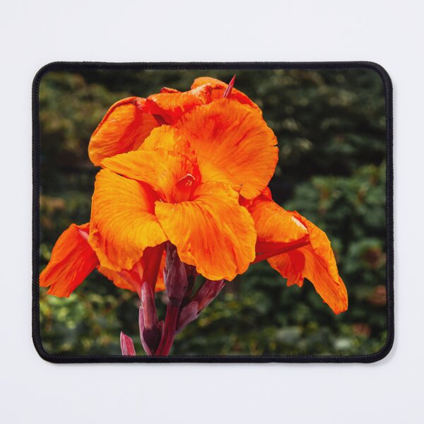 Item preview, Yellow King Humbert designed and sold by PhotosByArt.