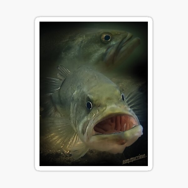 Item preview, Funny Largemouth Bass Portrait - Retro Fishing Design - Underwater Portrait designed and sold by Sam Morrison.
