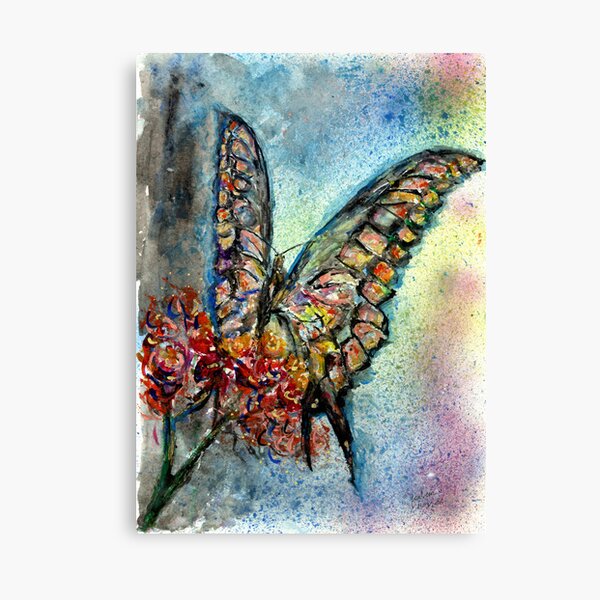 Butterfly Canvas Print