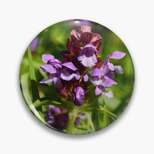 Item preview, Heal all. Self-heal designed and sold by Jouko Lehto Photography.