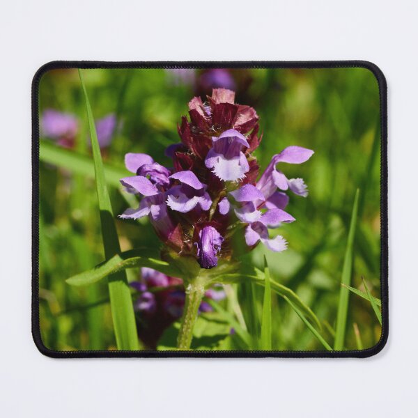 Item preview, Heal all. Self-heal designed and sold by Jouko Lehto Photography.