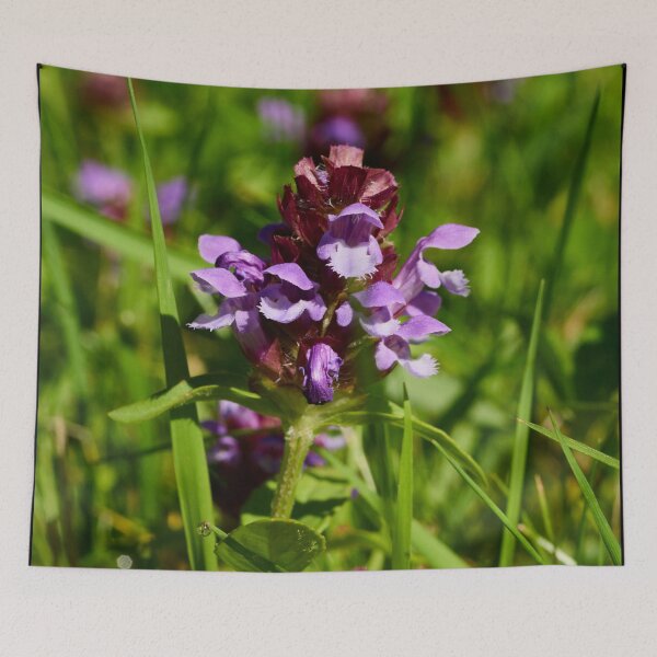 Item preview, Heal all. Self-heal designed and sold by Jouko Lehto Photography.