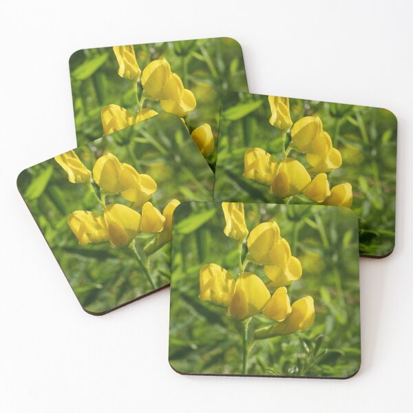 Item preview, Yellow and green. Meadow vetchling designed and sold by Jouko Lehto Photography.