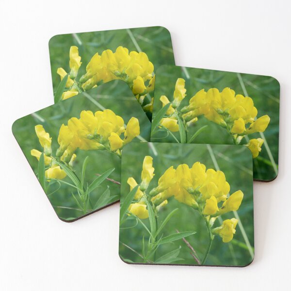 Item preview, The bend. Meadow vetchling designed and sold by Jouko Lehto Photography.